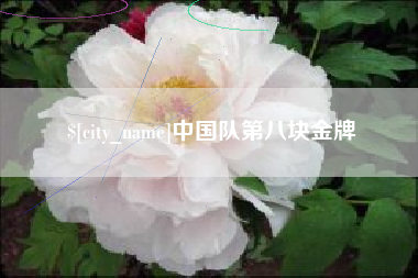 临沧中国队第八块金牌