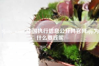 临沧中国执行信息公开网官网app为什么要钱呢