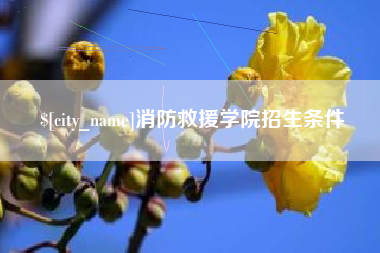 临沧消防救援学院招生条件