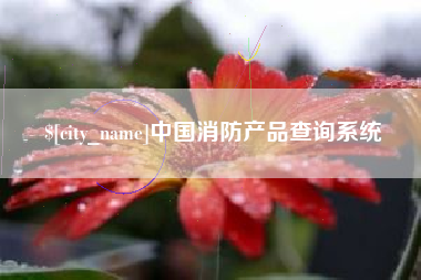 临沧中国消防产品查询系统