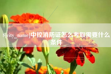 临沧中控消防证怎么考取需要什么条件