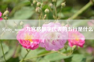 临沧九宫格数字代表的五行是什么