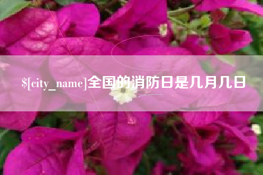 临沧全国的消防日是几月几日
