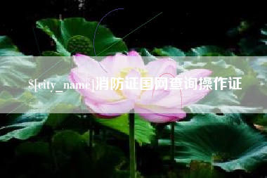 临沧消防证国网查询操作证