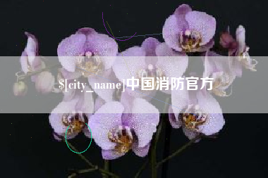 临沧中国消防官方