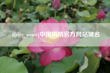 临沧中国消防官方网站域名