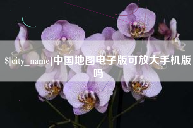 临沧中国地图电子版可放大手机版吗