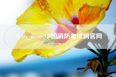 临沧中国消防考试网官网