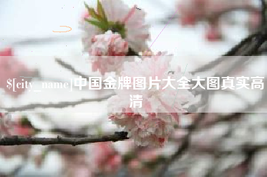 临沧中国金牌图片大全大图真实高清