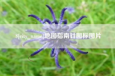临沧地图指南针图标图片