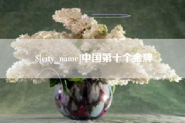 临沧中国第十个金牌