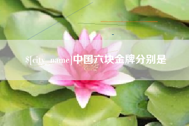 临沧中国六块金牌分别是