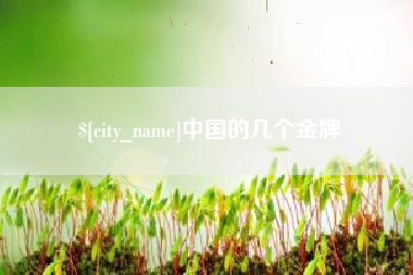 临沧中国的几个金牌
