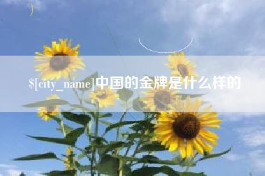 临沧中国的金牌是什么样的