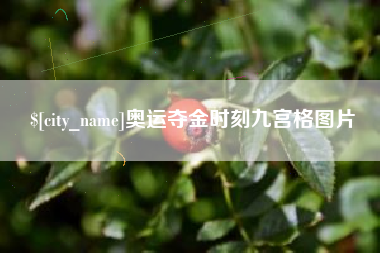 临沧奥运夺金时刻九宫格图片