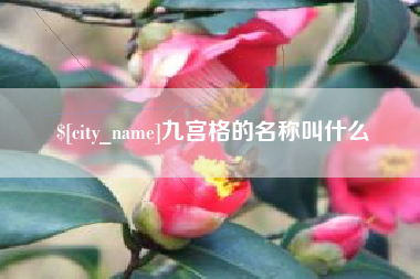 临沧九宫格的名称叫什么