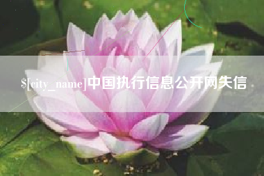 临沧中国执行信息公开网失信