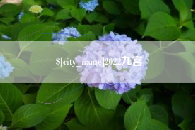 临沧2022九宫