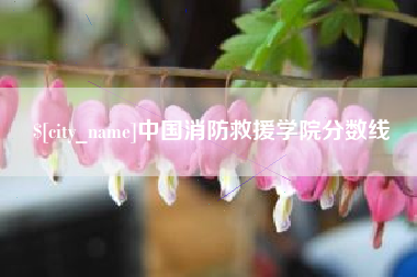 临沧中国消防救援学院分数线