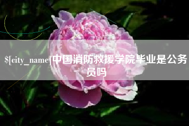 临沧中国消防救援学院毕业是公务员吗