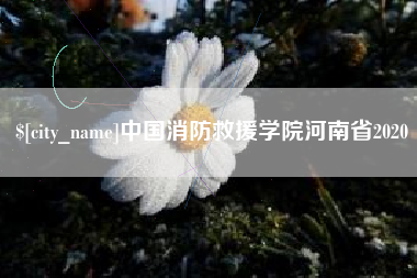 临沧中国消防救援学院河南省2020